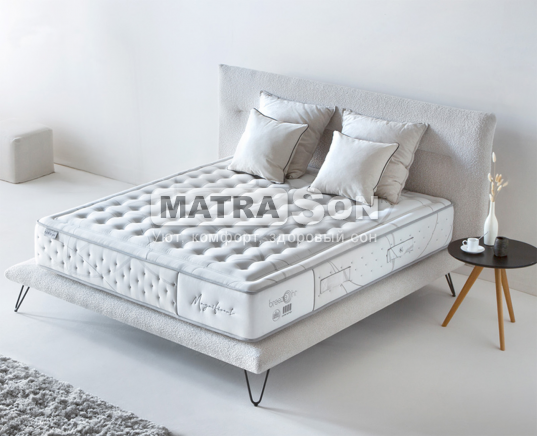  Karibian Magnificent ()