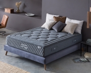  Karibian Orthopedic ()