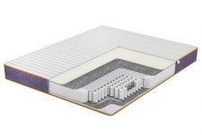  Family Sleep Flowers Pansy