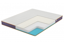  Family Sleep Flowers Aster